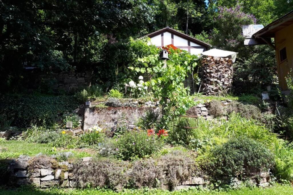 Eine Gemuetliche Ferienwohnung Mit Garten บาด คาร์ลซาเฟิน ภายนอก รูปภาพ