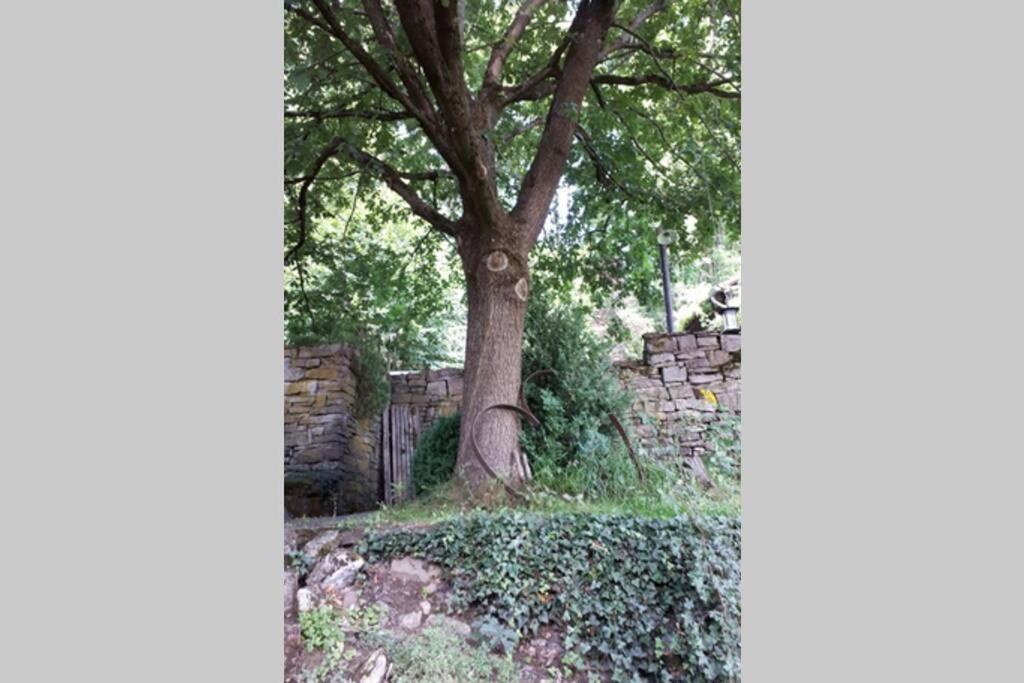 Eine Gemuetliche Ferienwohnung Mit Garten บาด คาร์ลซาเฟิน ภายนอก รูปภาพ