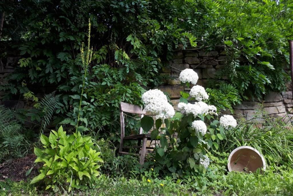Eine Gemuetliche Ferienwohnung Mit Garten บาด คาร์ลซาเฟิน ภายนอก รูปภาพ