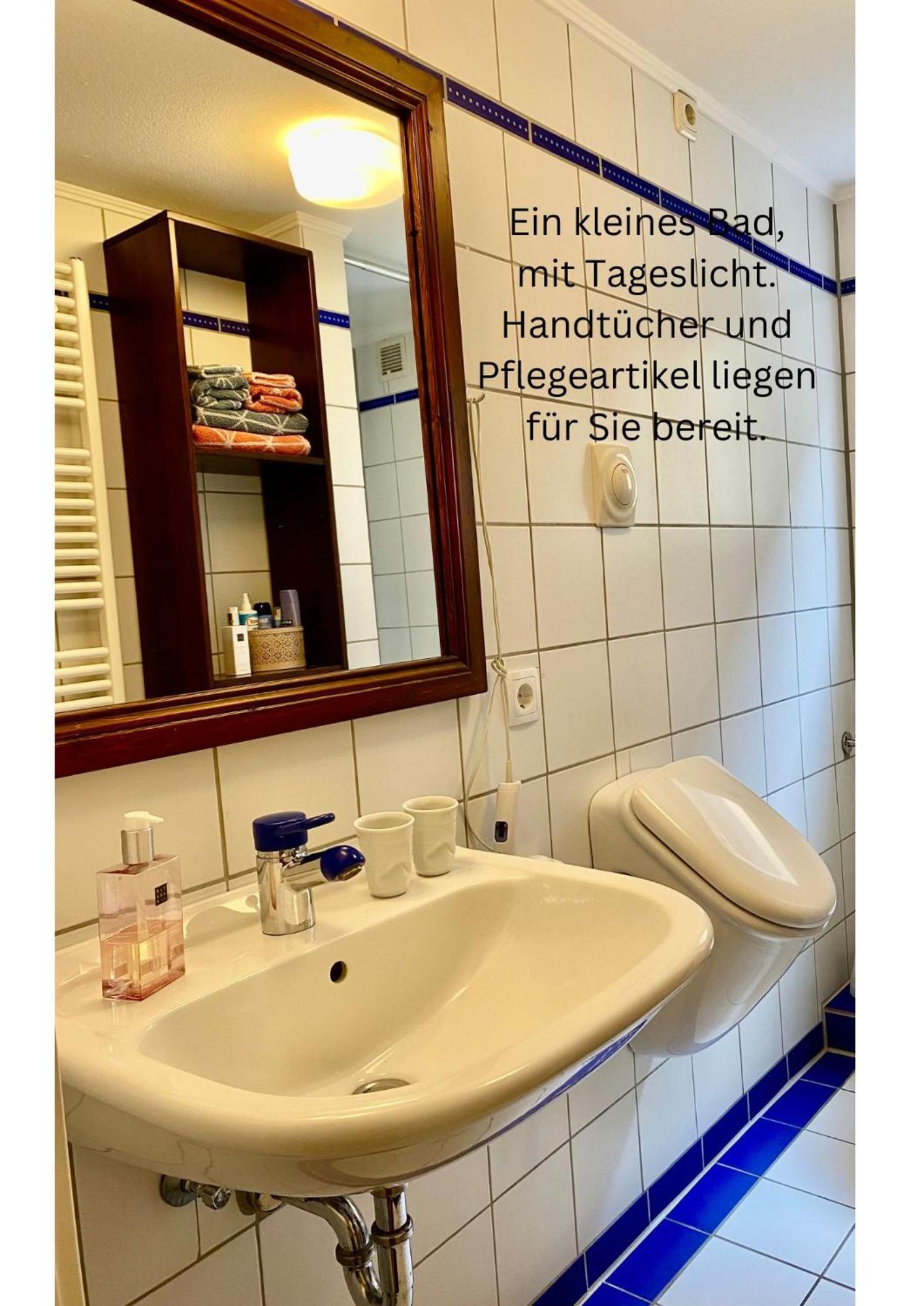 Eine Gemuetliche Ferienwohnung Mit Garten บาด คาร์ลซาเฟิน ภายนอก รูปภาพ